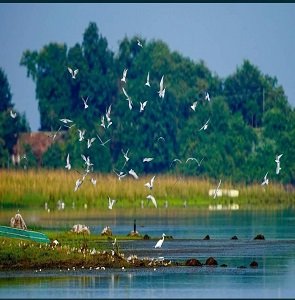 pakhal lake (10)